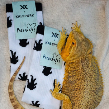 Packonožky Socks