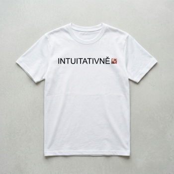 Triko ARC Raiders Intuitativ