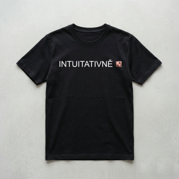 Triko ARC Raiders Intuitativ