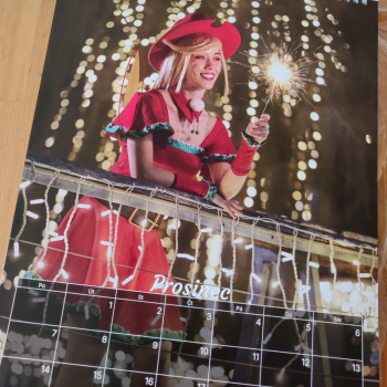 Wriiborný kalendář 2026 (Kosmetická vada)