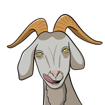 GOAT SOCKS